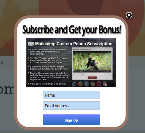 Mailchimp Custom Popup Abonnement pour wordpress - 13